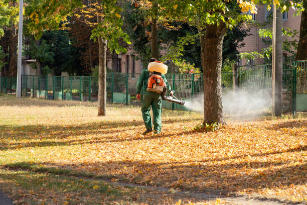 Best Local Pest Control Services  in Blue Mound, TX