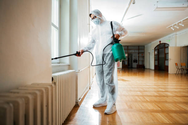 Best Local Pest Control Services  in Blue Mound, TX